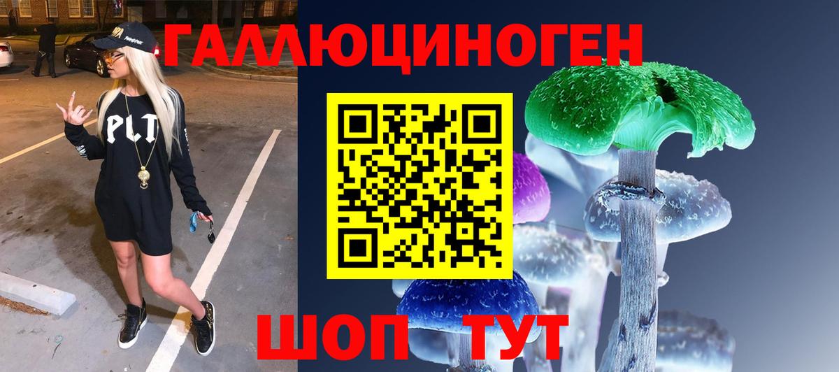 Лыткарино  Галлюциногенные грибы Cubensis  Вход с VPN 